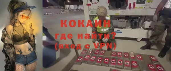 гашик Нефтекумск