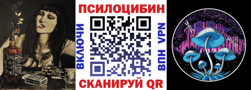 Псилоцибиновые грибы мицелий  Белгород 